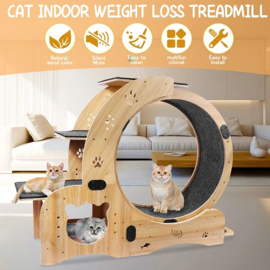 Cat Running Wheel – Silent & Smooth Exercise Wheel for Active Cats