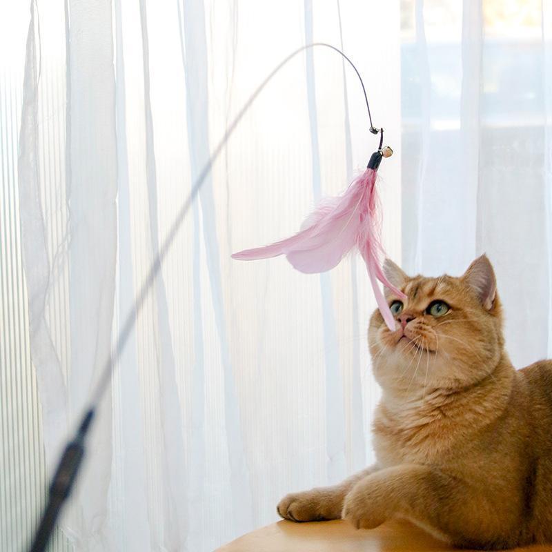 Retractable Laser Cat Wand – Interactive & Safe Play