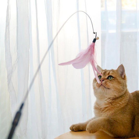 Retractable Laser Cat Wand – Interactive & Safe Play