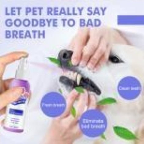 Pet Oral Cleaning & Deodorization Spray – Cat Breath Freshener & Odor Remover