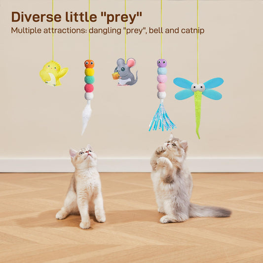 Interactive Cat Feather Toys 5 Pcs For Mental And Physical Stimulation