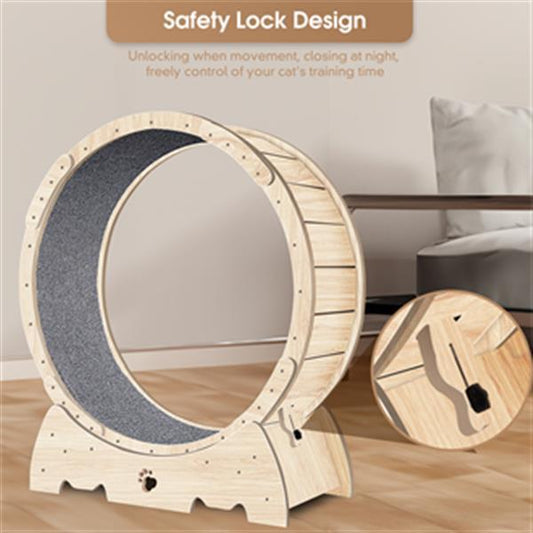 Indoor Cat Sports Wheel