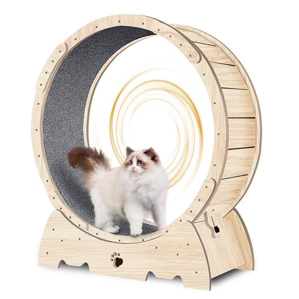 Indoor Cat Sports Wheel