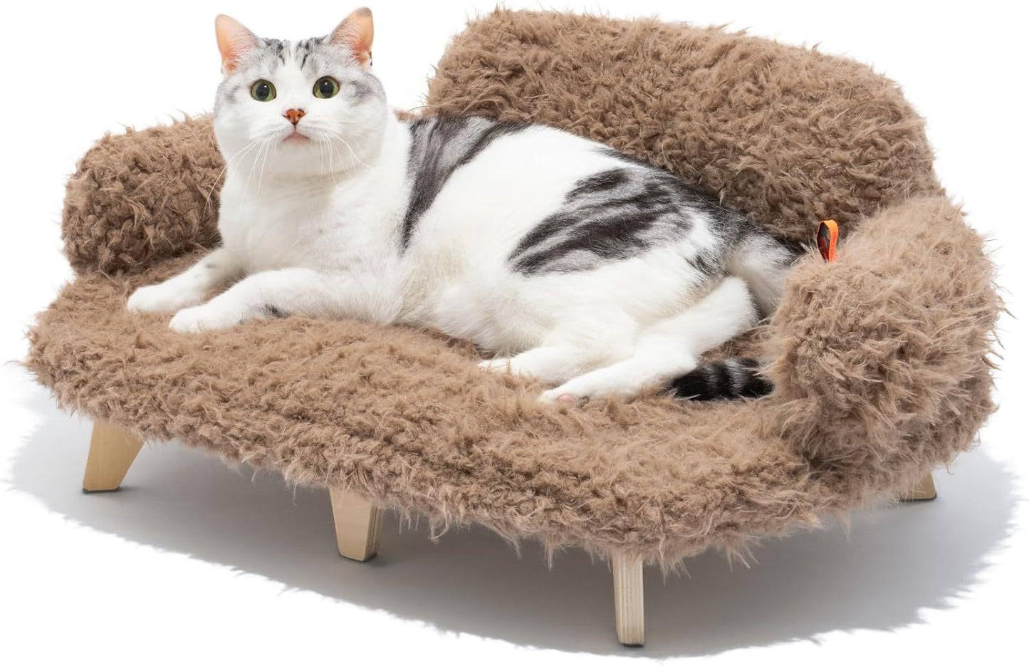 Elevated Cat Bed With Washable Cover