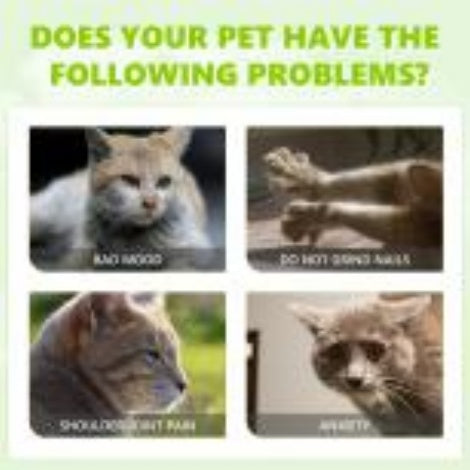 Cat Anxiety Relief & Vitality Spray