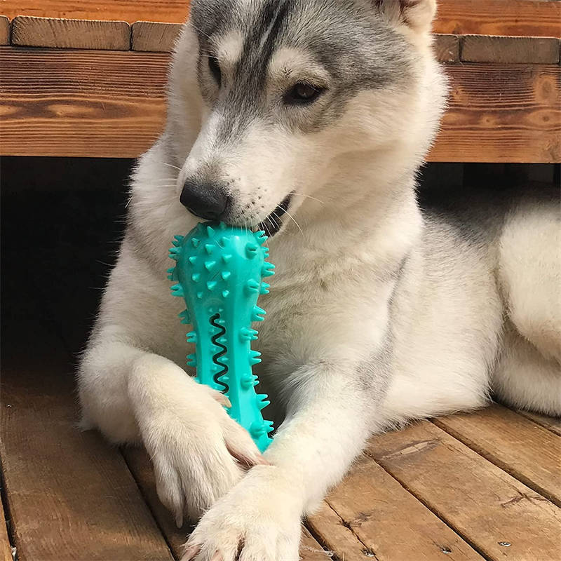 Dog Chew Toy – Rubber Molar Stick