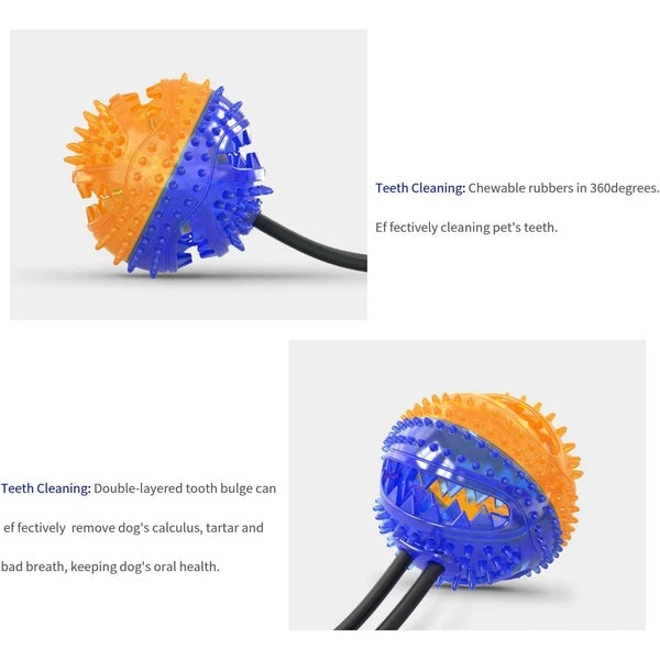 Dog Suction Cup Toy – Durable Rubber Ball for Tug, Chew & Play