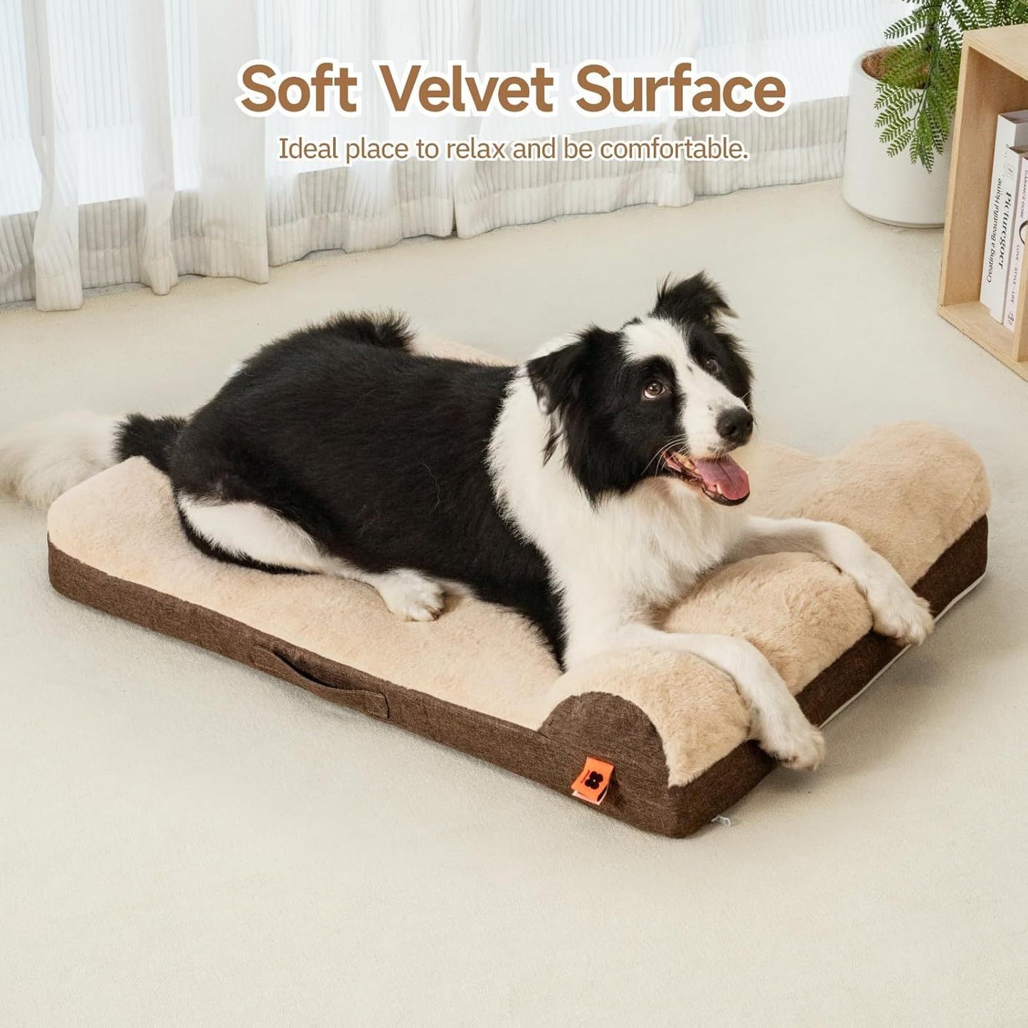 Orthopedic Dog Bed For Medium Dogs