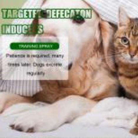 Pet Potty Training Spray – Toilet Positioning Aid for Dogs & Cats