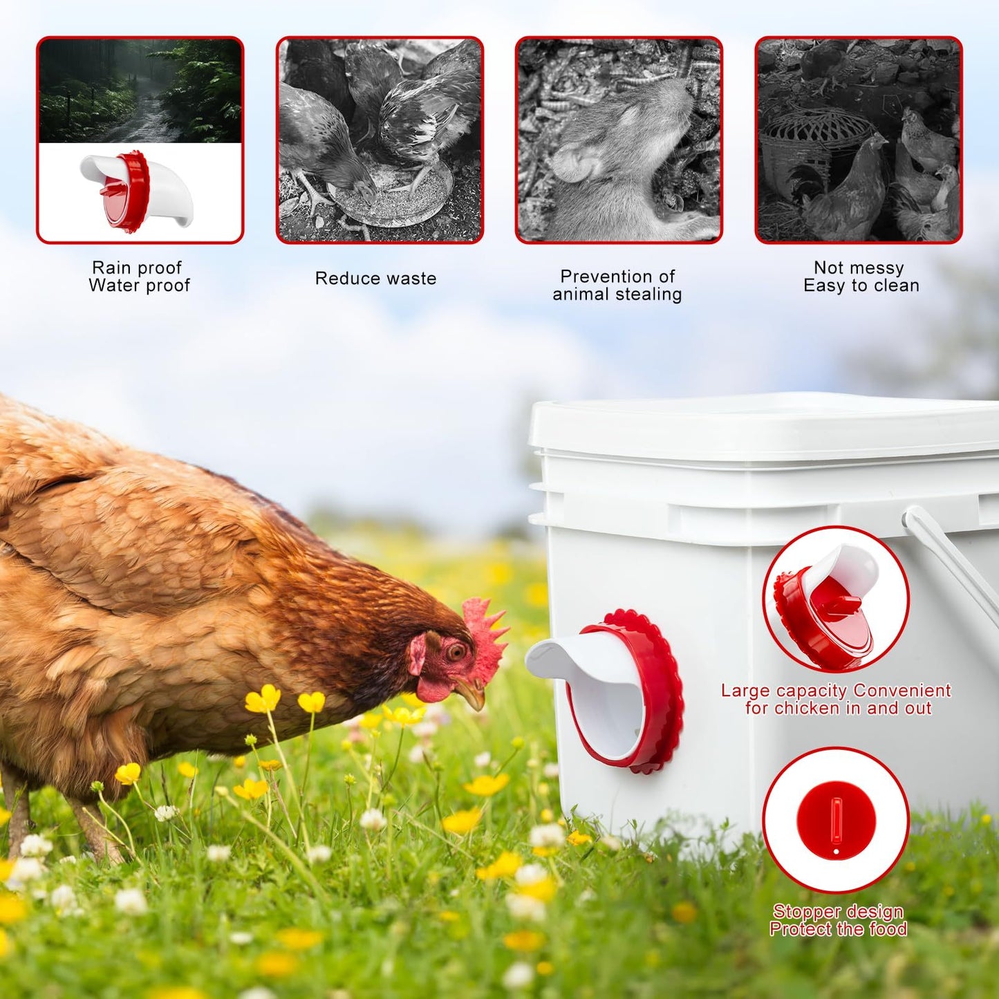 Automatic 6pcs Chicken Feeders & Waterers Set – Rainproof Poultry Kit