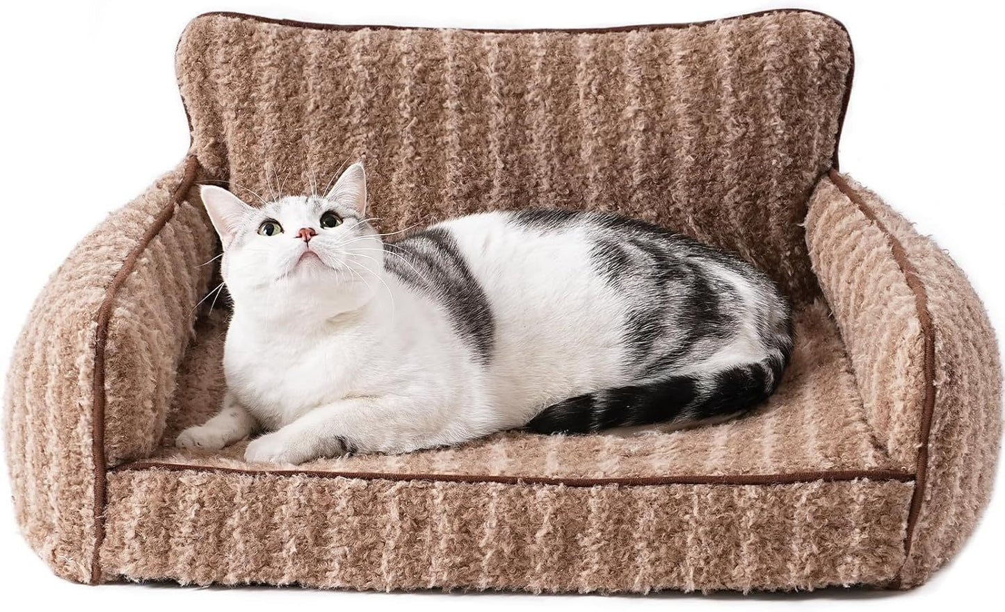 Orthopedic Cat Couch For Indoor Cats & Dog