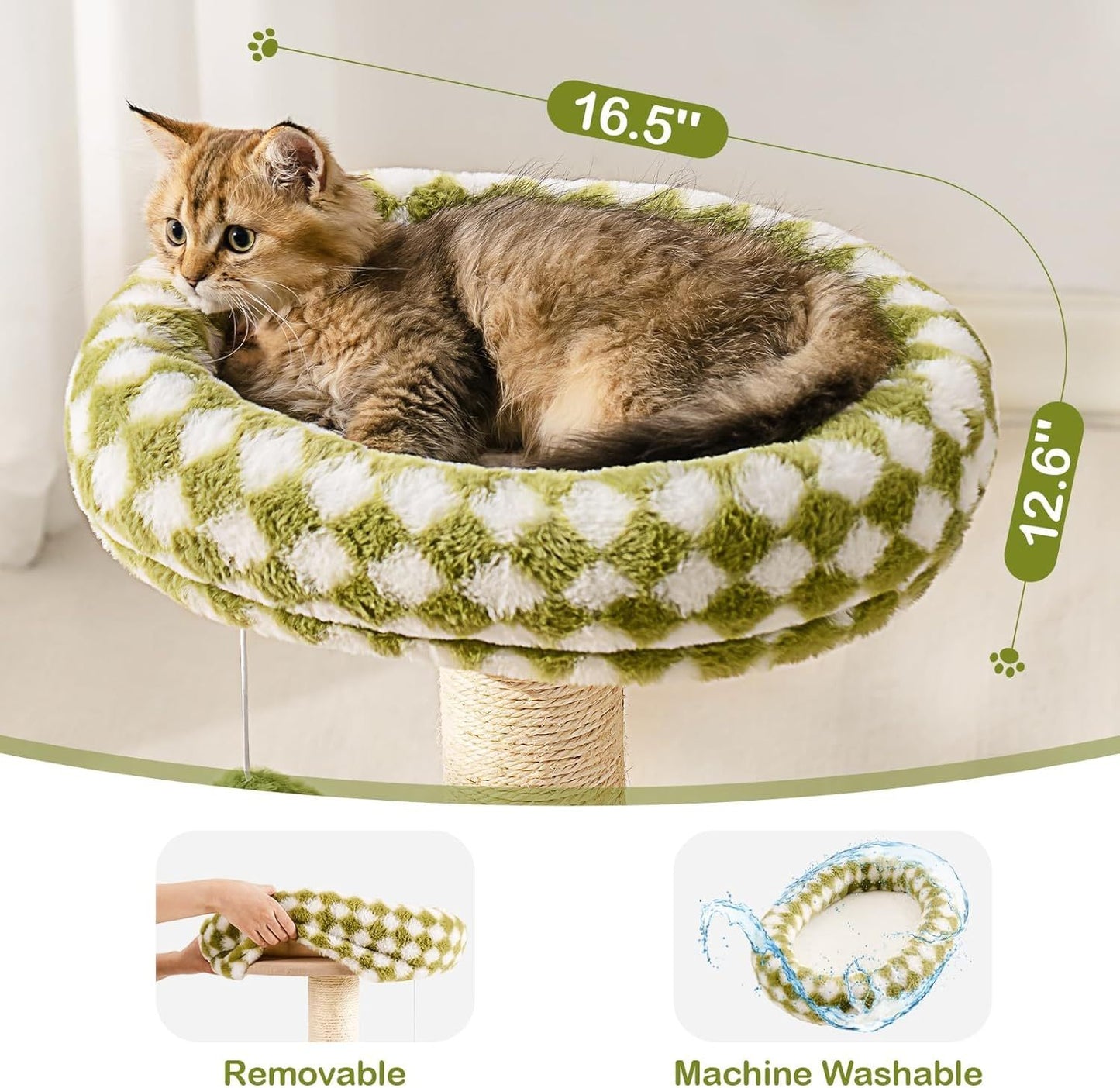 Cat Scratching Post & Bed