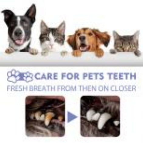 Pet Breath & Teeth Spray – Stain Removal & Oral Care