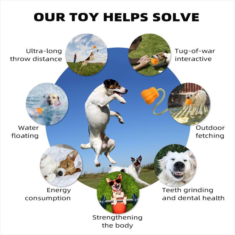 PROKEl Dog Rope Fetch Exercise Toy