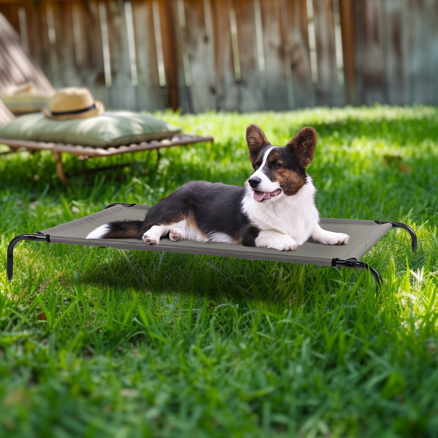 Pet Beds