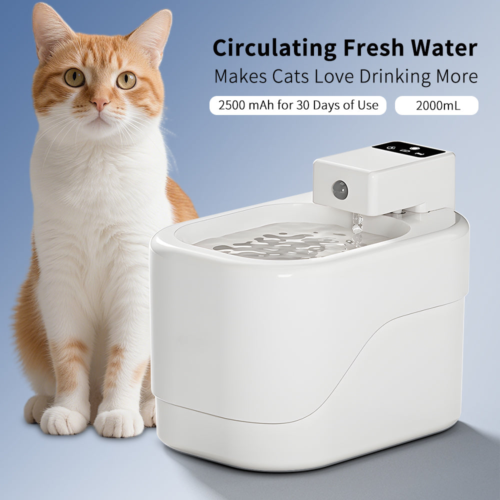Smart Pet Water Fountain 2000ML – Wireless, Quiet, Filtered