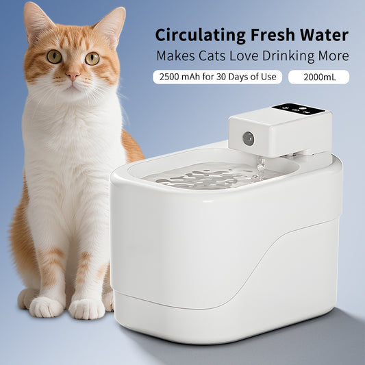 Smart Pet Water Fountain 2000ML – Wireless, Quiet, Filtered