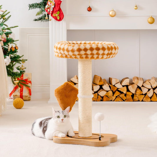 Cat Scratching Post With Bed