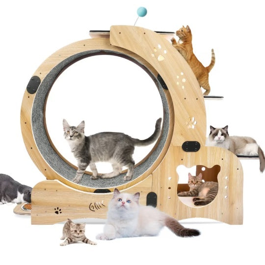 Cat Running Wheel – Silent & Smooth Exercise Wheel for Active Cats